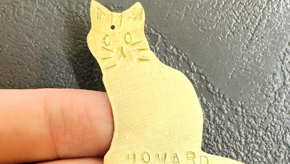 team building室內活動到戶外冒險:團建活動類型全解析